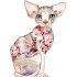 Blue-eyed vintage-patterned sphynx cat tattoo design