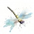 Blue watercolor wing flying dragonfly tattoo design