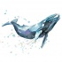 Blurred watercolor whale tattoo design