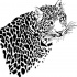 Bonny black-and-white leopard tattoo design