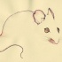 Bonny brown-eyed mouse silhouette tattoo design