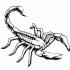 Bonny calm outline scorpion tattoo design