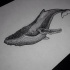Bonny dotwork whale swimming forward tattoo design