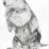 Bonny grey-ink standing rodent tattoo design