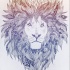 Bonny lion portrait with patterned mane tattoo design