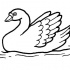 Bonny uncolored swan swimming on calm water surface tattoo design