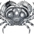 Breathtaking black-and-white crab tattoo design