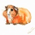Bright orange watercolor rodent tattoo design
