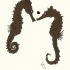 Brown seahorse lovers and tiny red heart tattoo design