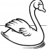 Cartoon outline swan swimming in lake tattoo design