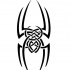 Celtic ornate spider tattoo design