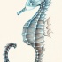 Charming blue pencilwork seahorse tattoo design by Sorenelrowien