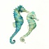 Charming green-and-blue watercolor seahorse couple tattoo design