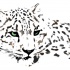 Charming green-eyed snow leopard tattoo design