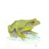 Charming green frog prince ready to be kissed tattoo design