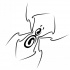 Charming spider with curled-line body tattoo design
