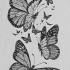 Cheerful grey-color butterfly flock tattoo design