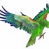 Cheerful realistic green flying parrot tattoo design