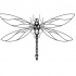 Clean-wing static dragonfly tattoo design by Micma