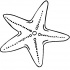 Clear starfish with spotted veins tattoo design