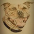 Colorful open-mouth dog portrait tattoo design