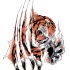 Colorful tiger with bloody mouth tearing skin tattoo design