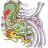 Coloured japanese dragon in grey waves tattoo design by Viking Tattoo