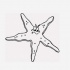 Concentrated cartoon outline starfish with eyes tattoo design