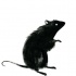 Cool black white-eyed mouse tattoo design