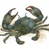 Cool dark green crab tattoo design
