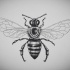 Cool dotwork-body bee with clear wings tattoo design