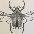 Cool dotwork-body bug woth clear wings tattoo design