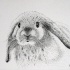 Cool dotwork rabbit muzzle tattoo design