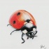 Cool drawn colored ladybug tattoo design