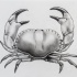 Cool grey pencol work crab tattoo design