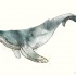 Cool grey watercolor whale tattoo design