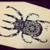 Cool mandala-patterned bug with sharp horns tattoo design