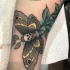 Cool moth with skull tattoo on forearm