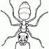 Cool outline fluffy ant tattoo design
