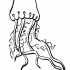 Cool outline frill-tentacled jellyfish tattoo design