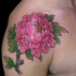 carino fiore di peonia colore rosa tatuaggio sulla spalla