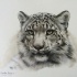 Cool realistic wild animal portrait tattoo design