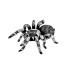 Cute fluffy black-and-white tarantula spider tattoo design
