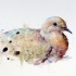 Cute fluffy watercolor dove tattoo design
