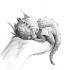 Cute grey-ink dragon baby sleeping on a human palm tattoo design