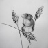 Cute grey mouse and wheat stems tattoo design