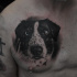 Cute realistic dog tattoo on chest