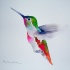 Cute watercolor hummingbird tattoo design