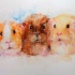Cute watercolor rodent trio tattoo design