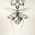 Dangerous grey-ink wild bug with heart-shaped lower part tattoo design